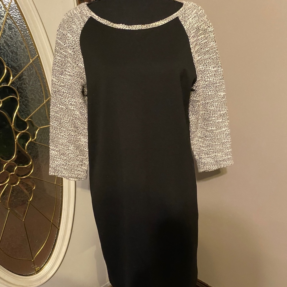 Ann Taylor Loft Raglan Sleeve Dress
